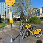 La Fenice Di Francesca