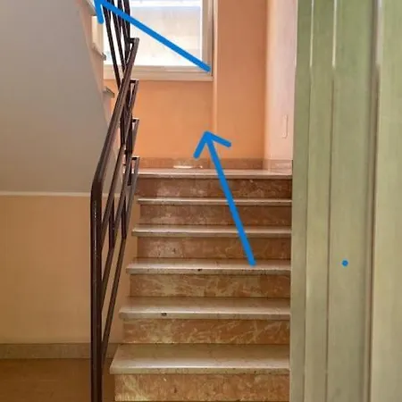 La Fenice Di Francesca Bergame