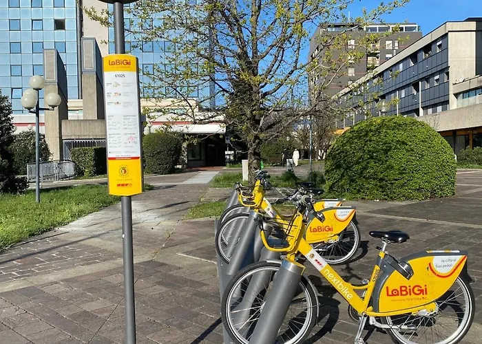 La Fenice Di Francesca
